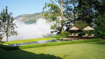 Outdoor pool, pool loungers