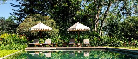 Outdoor pool, sun loungers