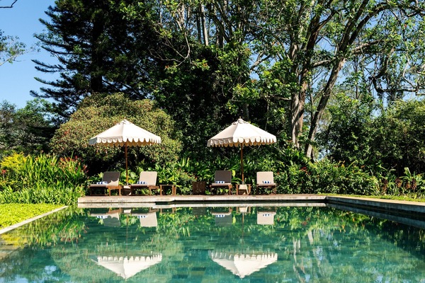 Kolam renang outdoor, dengan kursi berjemur