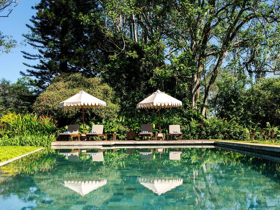 Outdoor pool, sun loungers