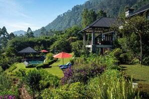 Garden - Camellia Hills (Hatton)