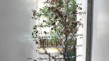 Quarto casal clássico | Terraço/pátio