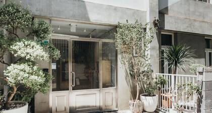 Spring Guest House