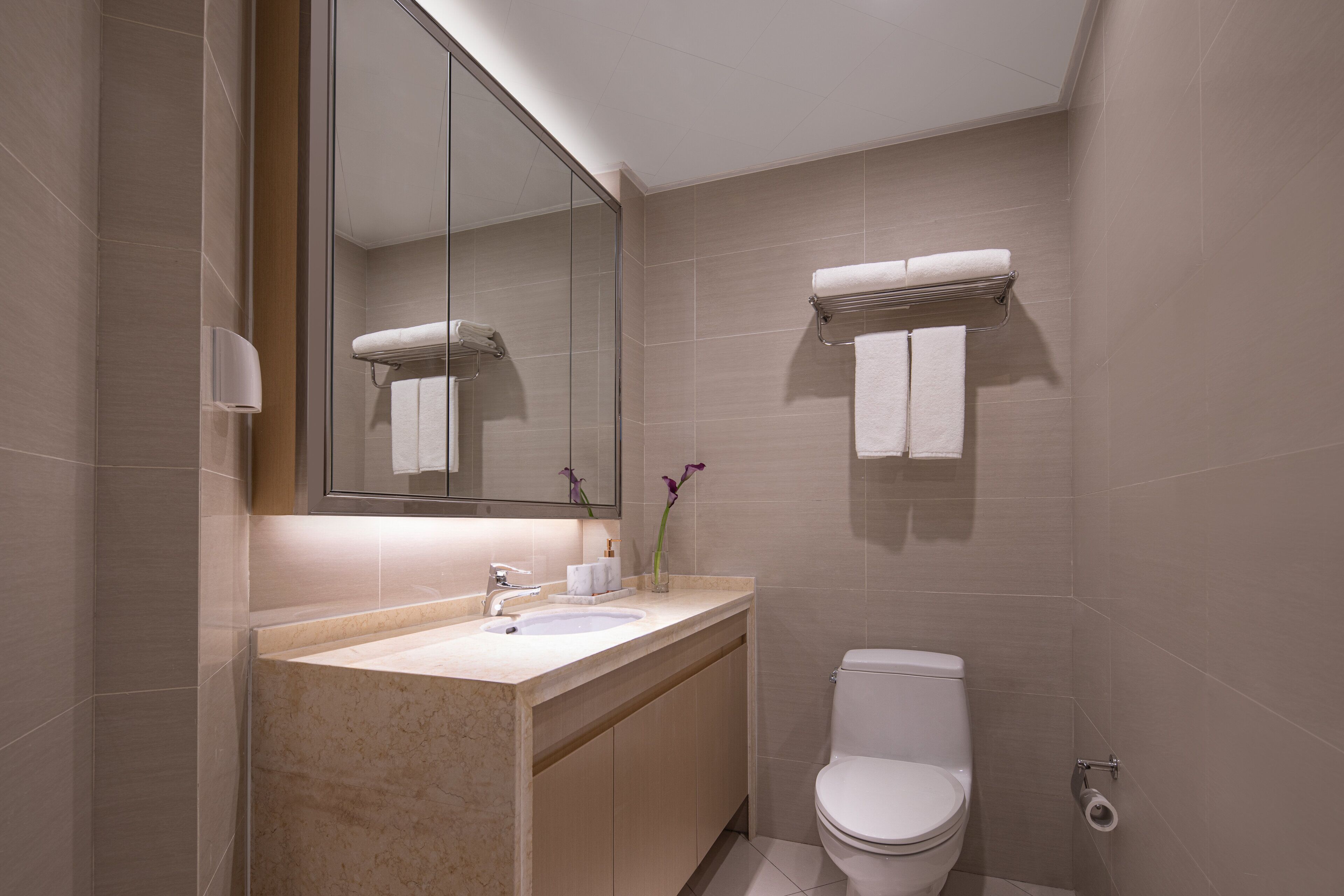 Un bany modern amb un lavabo, un mirall, un vàter i una barra de tovalloles.