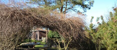 تناول الطعام بالخارج