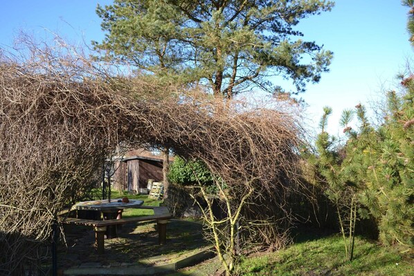 Outdoor dining - Vacation apartment 2 west - Holiday home Butje (Insel Hiddensee)
