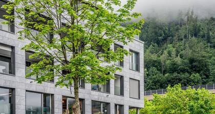 Apartment JungfrauCenter SchynigePlatte