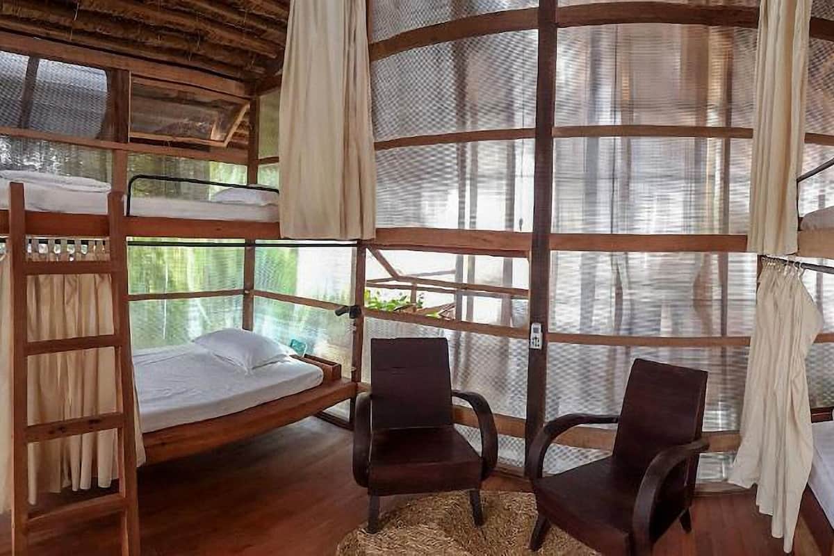 Una habitación redonda de madera con literas, dos sillas y un ventanal con vistas a la vegetación.