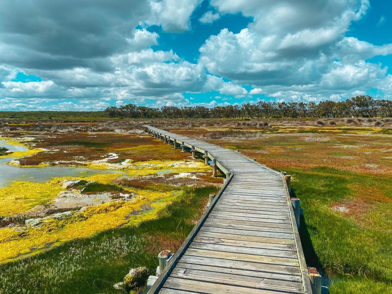 Een houten looppad door een natuurlandschap met water en begroeiing.