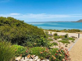 Un paisaje costero con un camino de arena que lleva a una playa, rodeado de exuberante vegetación y plantas florecientes.