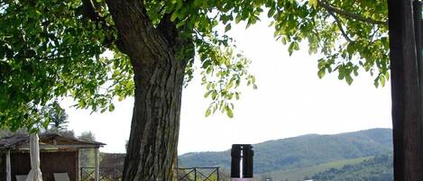 Detalhe da parte interna