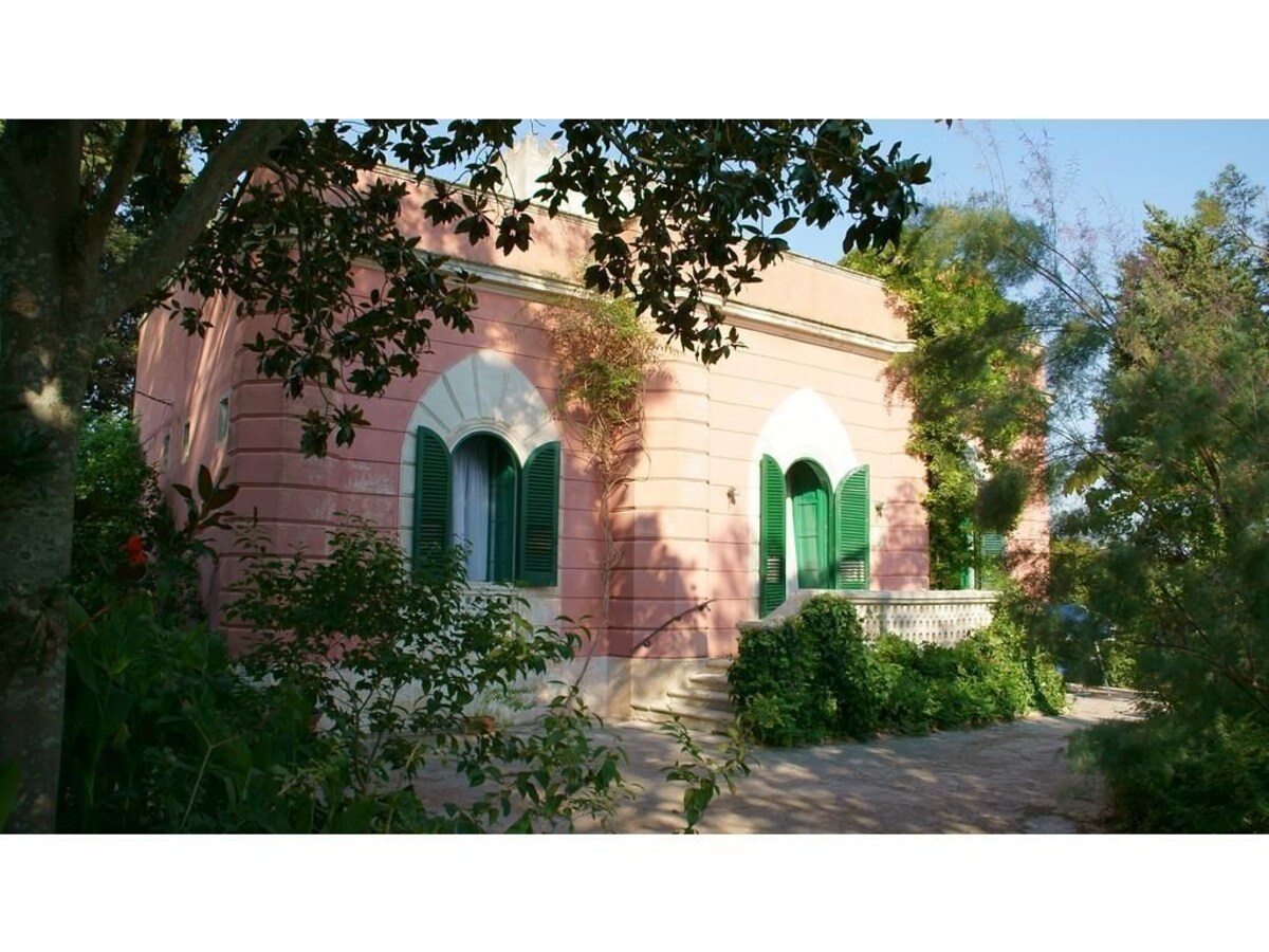 Imagen de perfil del propietario o de la propietaria