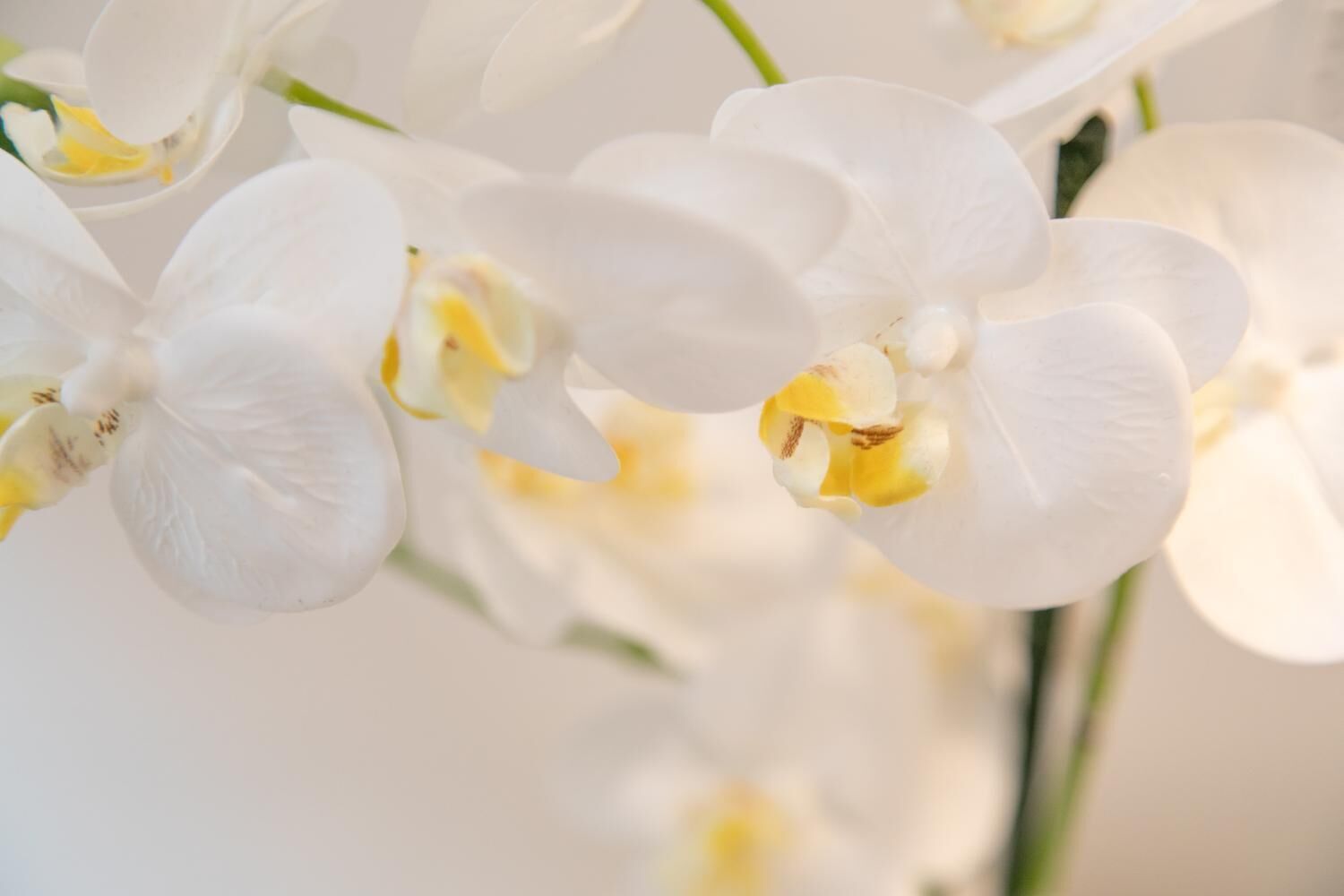 Foto - San Marco Design Suites