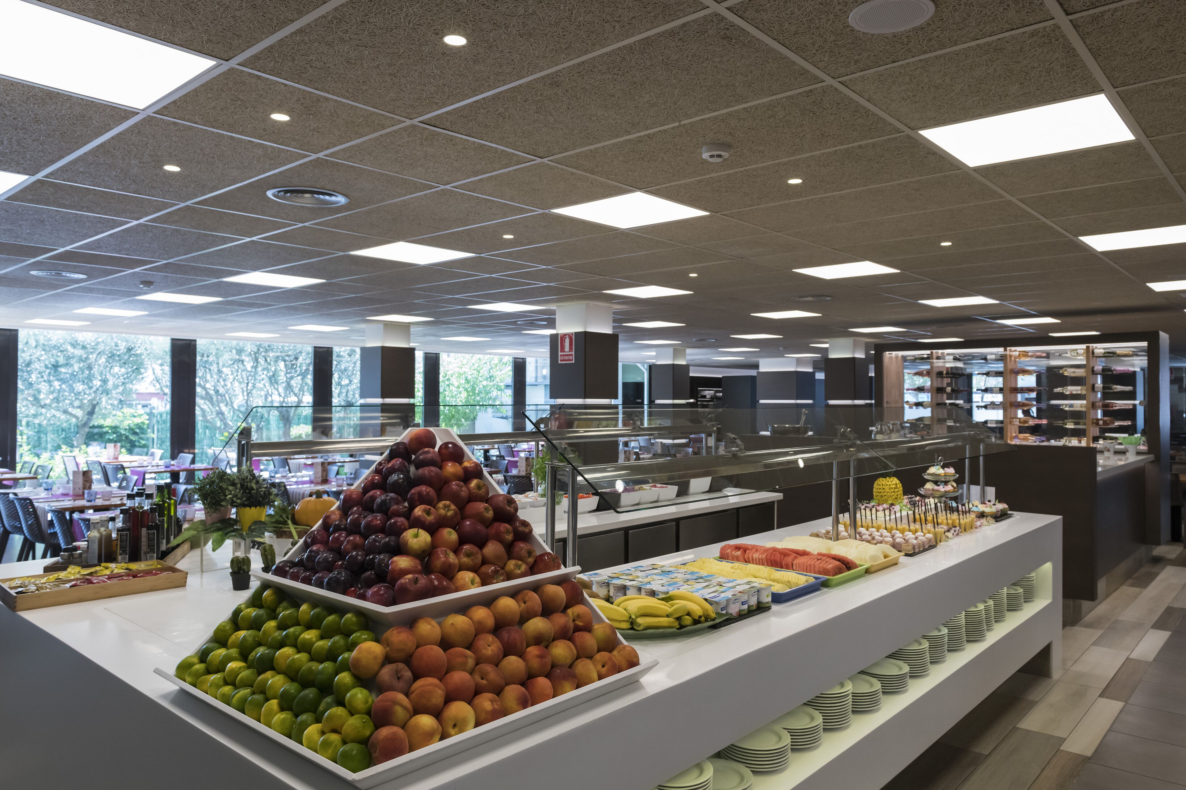 Foto - Hotel Papi Blau