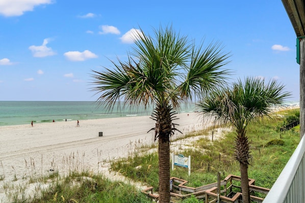 A beach with palm trees, a sign indicating a nature trail, and a clear blue sky.