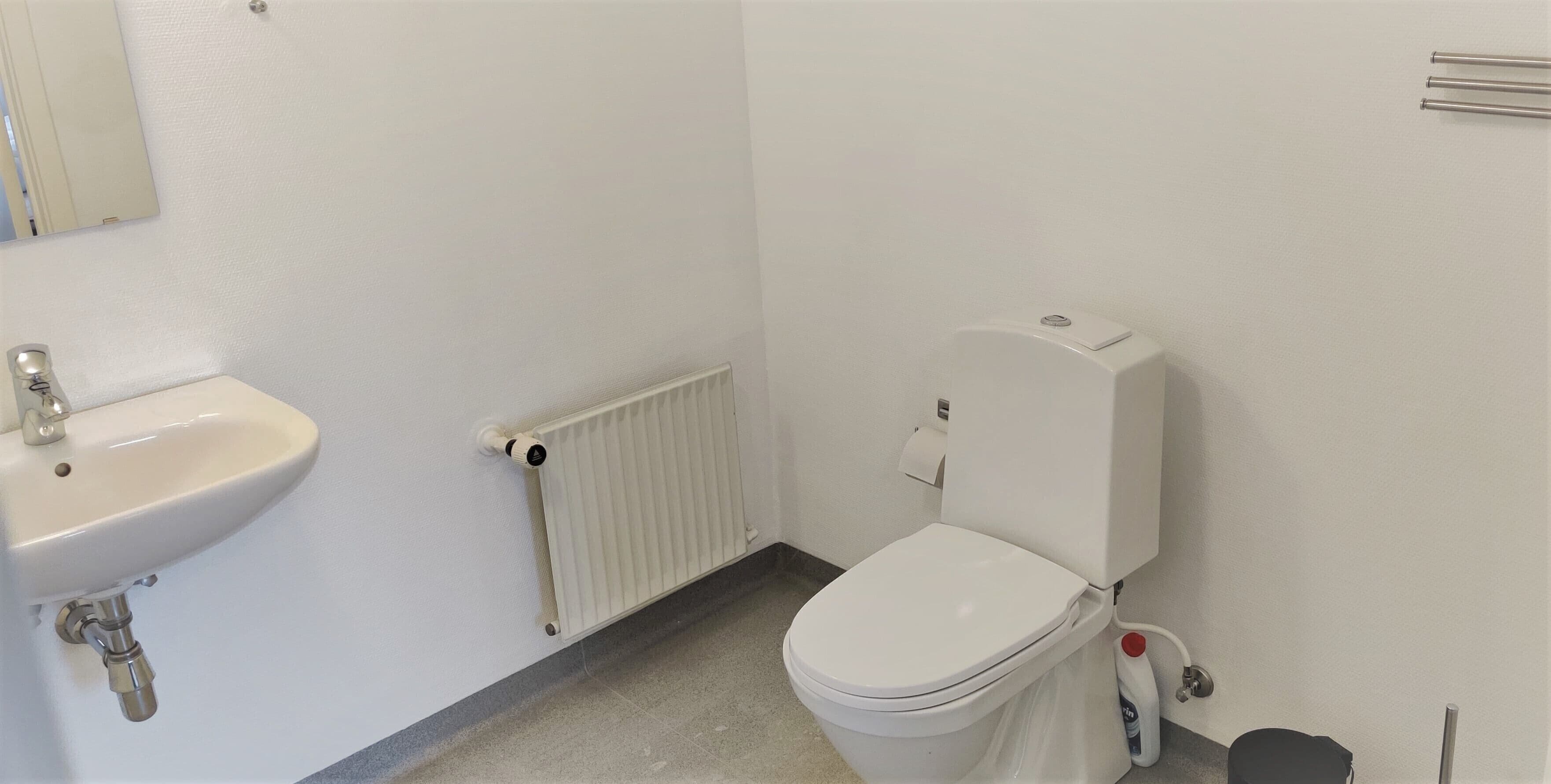 A bathroom with a white sink, toilet, and radiator.