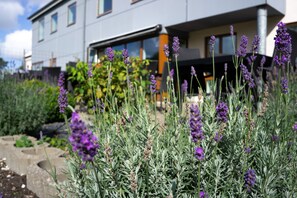 En moderne bygning med en have med lavendelplanter.
