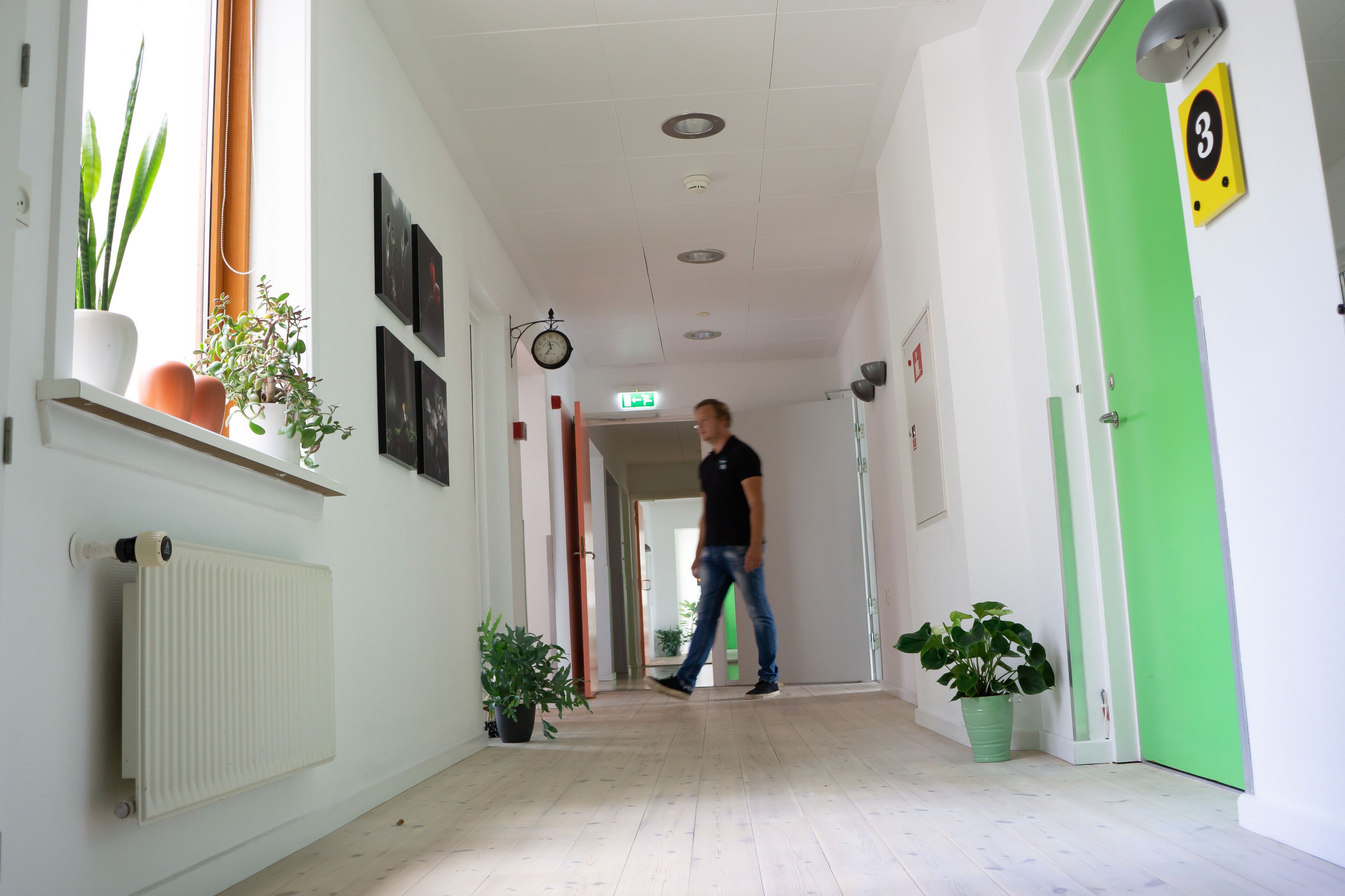A hallway with a radiator, potted plants, framed pictures, and a green door with a number sign.