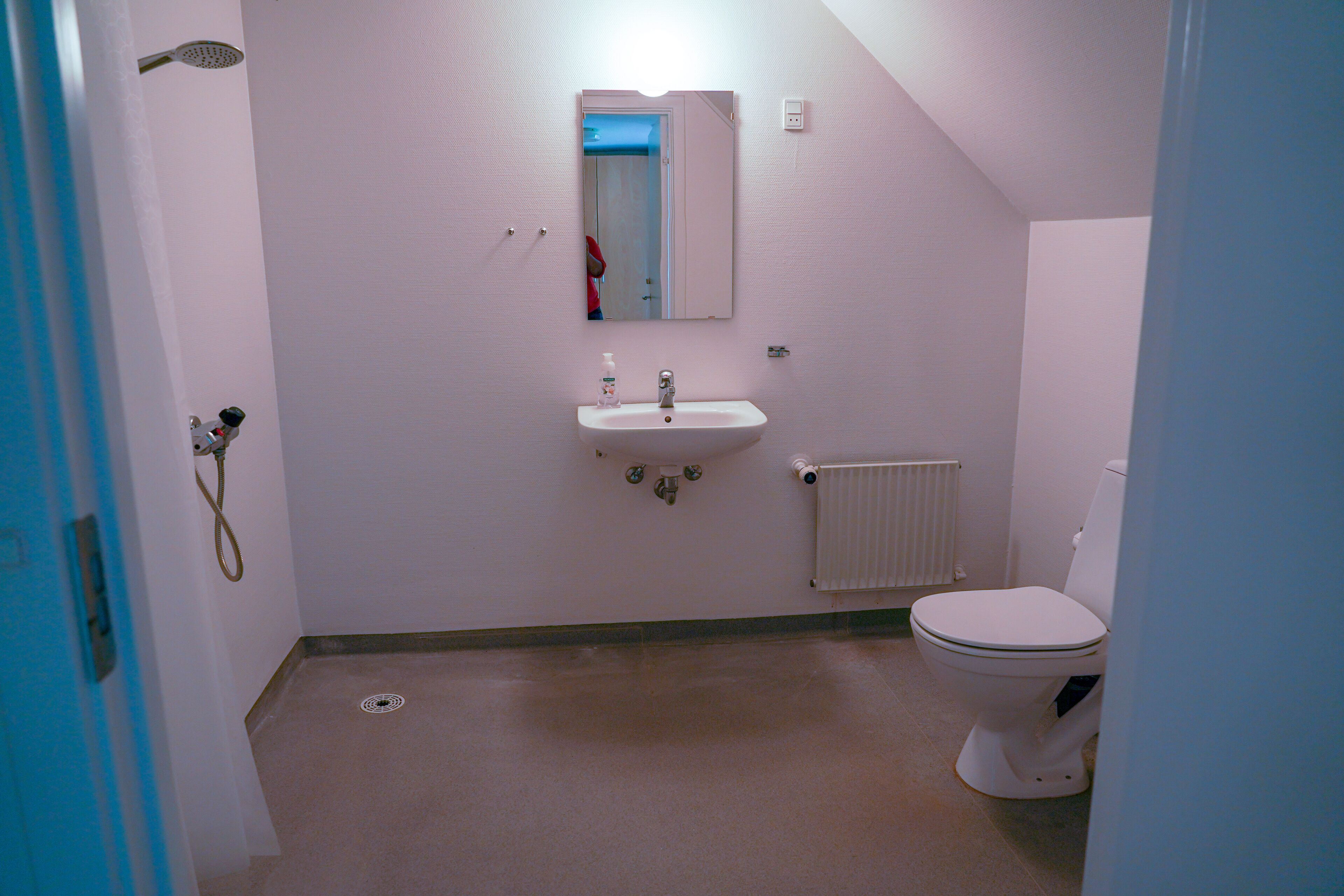 A small, narrow bathroom with a white sink, a toilet, and a shower.