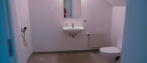 A small, narrow bathroom with a white sink, a toilet, and a shower.