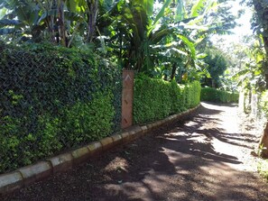 House | Property grounds - Inviting 2-bed House Komakundi Rural Kilimanjaro (Marangu)