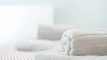 Apartment (2 Bedrooms) | 2 bedrooms, iron/ironing board, bed sheets