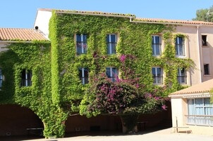 Un edificio con fachada blanca y hiedra verde cubriendo las paredes.