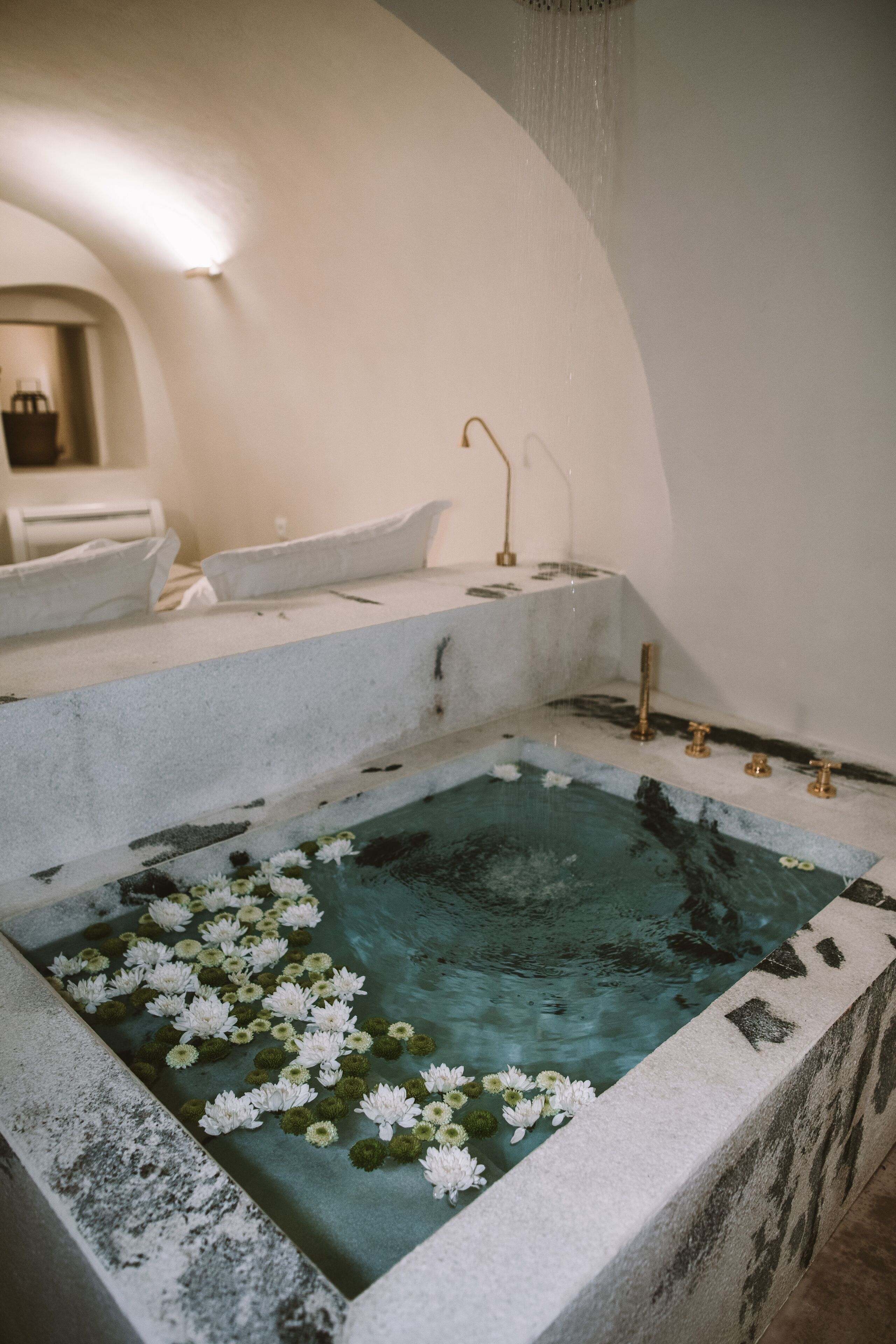 Ein Wellnessbereich mit einer großen Badewanne, gefüllt mit Wasser und Seerosen, einem kleinen Waschbecken und einem Handtuchhalter.