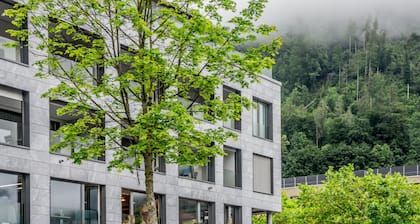 Apartment JungfrauCenter Bällenhöchst
