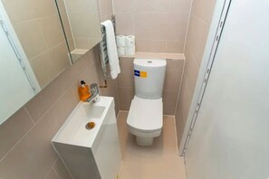 Combined shower/bathtub, hair dryer, towels, soap