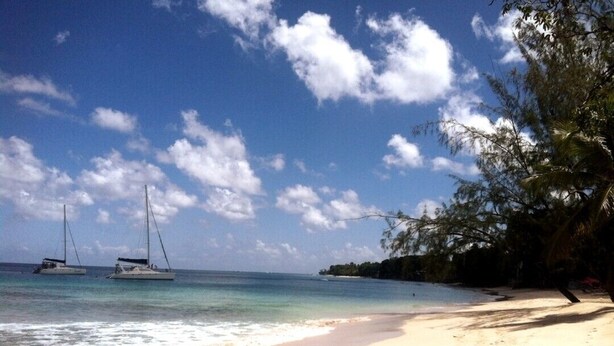 Unclassified image, 1 of 12, button - Harriet's Haven (Holetown)