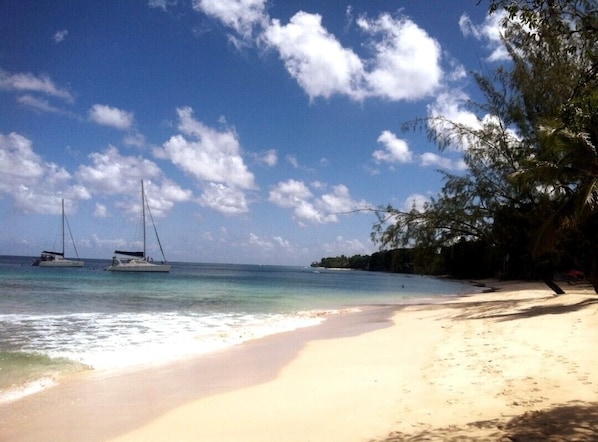 Beach - Harriet's Haven (Holetown)