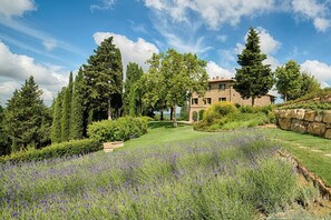 Garden - Luxury Chianti in Olive (Greve in Chianti)
