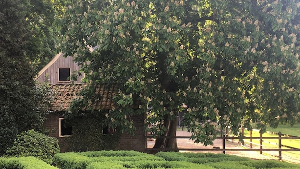 A rustic building with a tiled roof, surrounded by well-maintained hedges and a large tree with dense foliage.