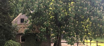 埃爾夫赫特羅爾芬克飯店