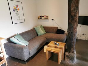 37-inch flat-screen TV with digital channels, TV, Netflix - Erve Het Roolvink (Enschede)