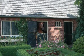 Een gebouw van baksteen, met een paard in de staldeur.
