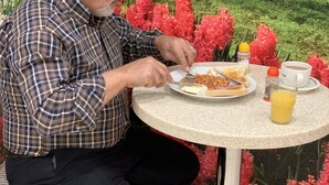 فطور إنجليزي مجانًا يوميًا
