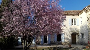 Un patio con un sendero de piedra, un árbol de cerezo y un edificio con tejado de tejas y paredes blancas.