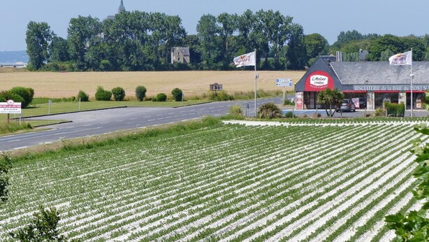 Un paysage rural avec une route, des champs, une boulangerie et une église en arrière-plan.
