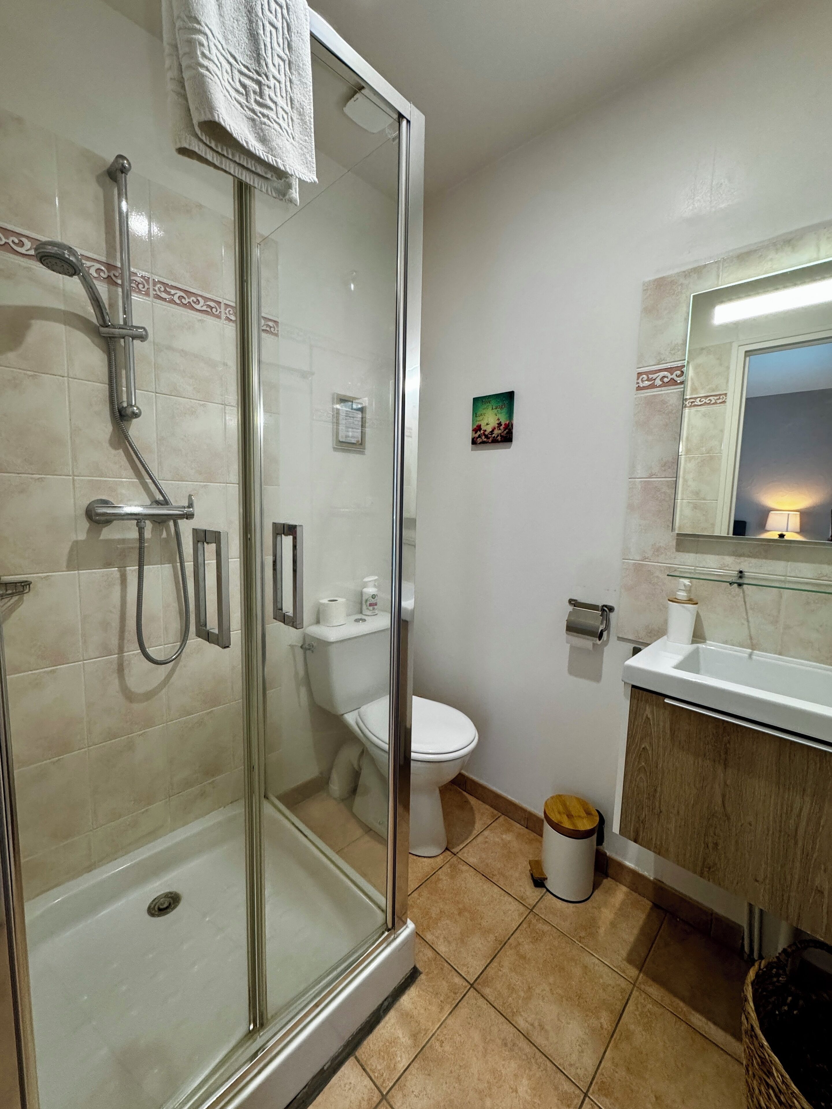 A bathroom with a glass-enclosed shower, a toilet, a sink with a mirror, and a small trash bin.