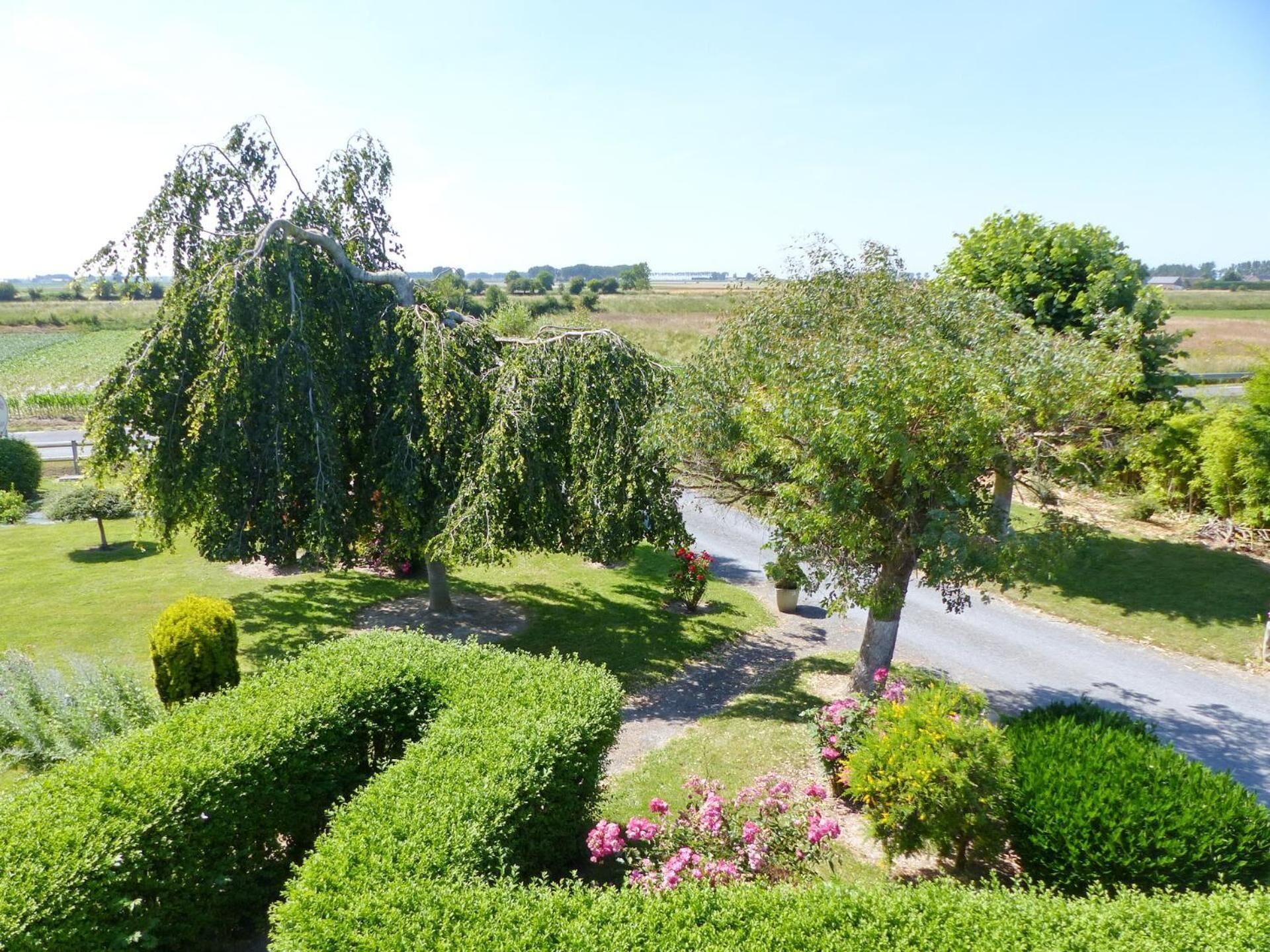 A well-maintained garden with neatly trimmed hedges, a variety of trees, and a clear pathway.