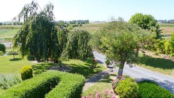 A well-maintained garden with neatly trimmed hedges, a variety of trees, and a clear pathway.