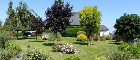 A well-maintained garden with various plants and a small pond.
