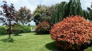 A well-maintained garden with various shrubs and trees, a clear pathway, and a distant building.