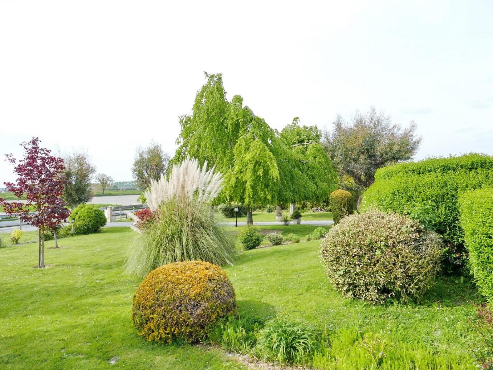 Un jardín bien cuidado con diversos arbustos, un árbol alto y un matorral esférico.