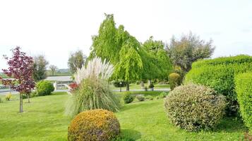 Un jardín bien cuidado con diversos arbustos, un árbol alto y un matorral esférico.