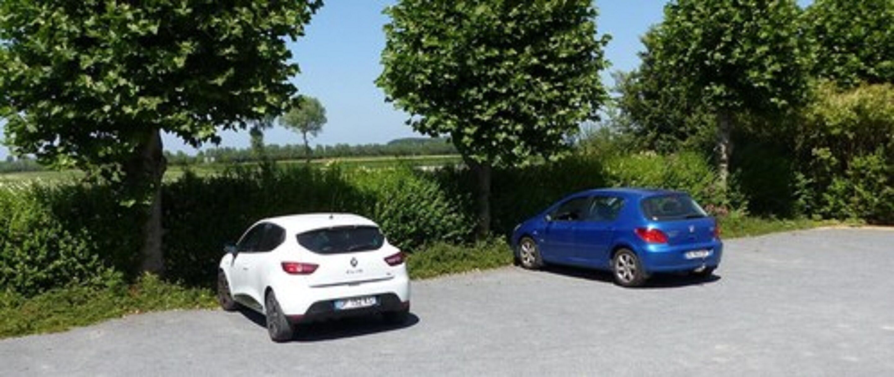 Dos coches estacionados en una zona pavimentada, con árboles y vegetación al fondo.