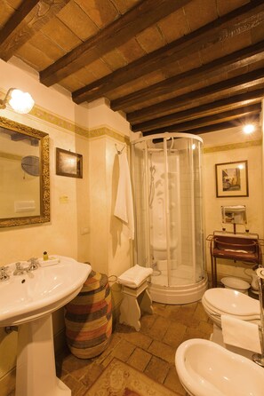 Shower, hair dryer, bidet, towels