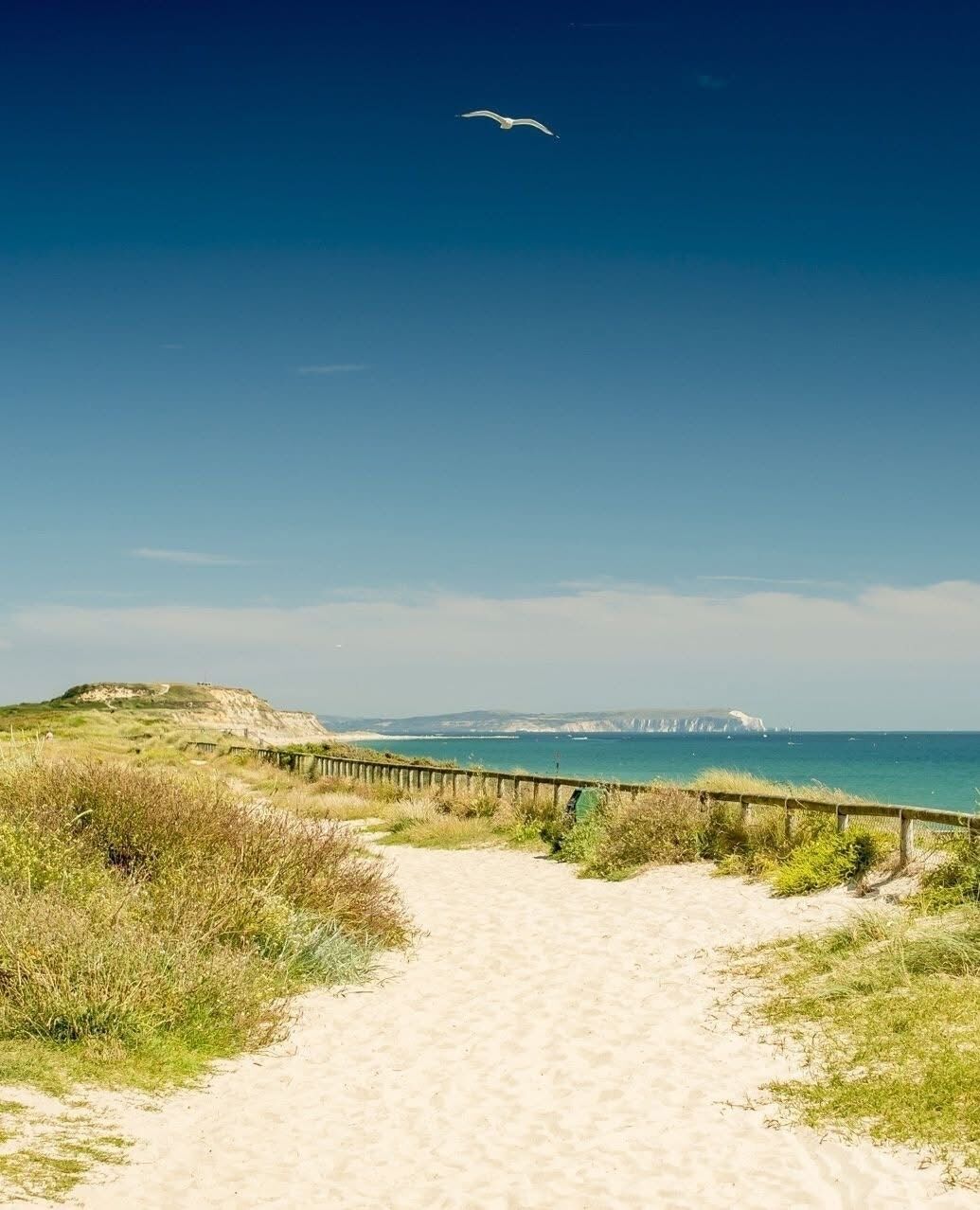 Strand